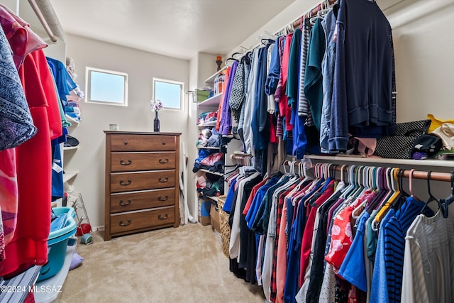 spacious closet with carpet flooring