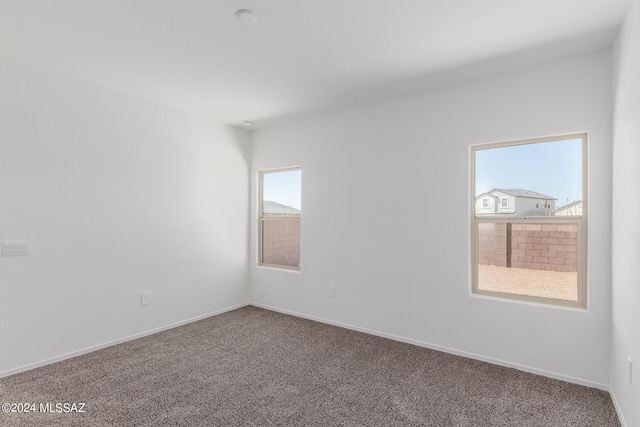 spare room featuring carpet flooring and a healthy amount of sunlight