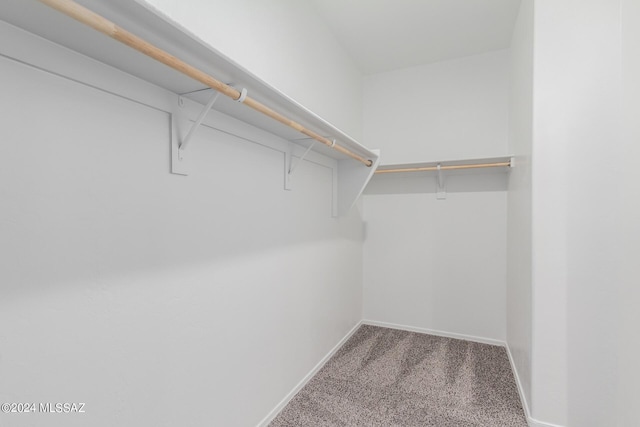 spacious closet featuring carpet floors