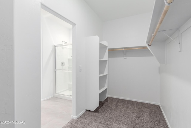 walk in closet with light colored carpet