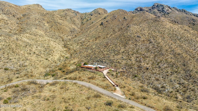 view of mountain feature