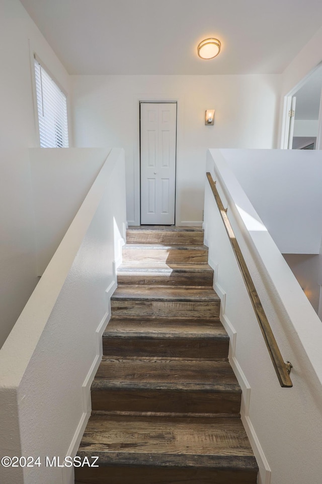 staircase featuring hardwood / wood-style floors