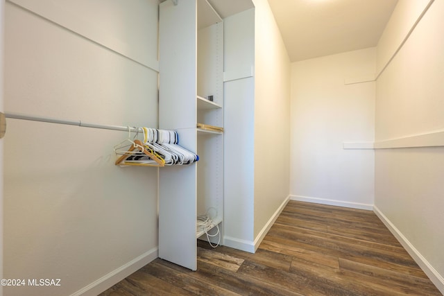 spacious closet with dark hardwood / wood-style floors