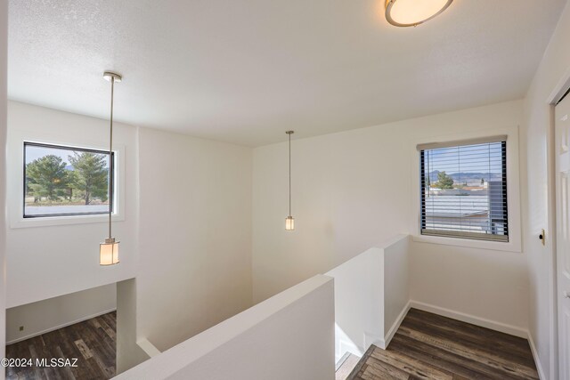 hallway with a wealth of natural light and dark hardwood / wood-style flooring