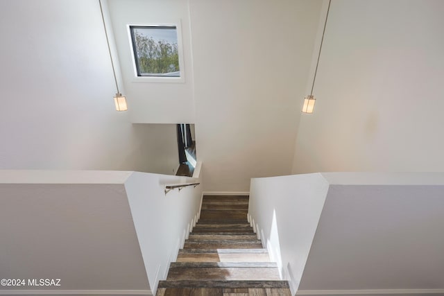 staircase with hardwood / wood-style floors