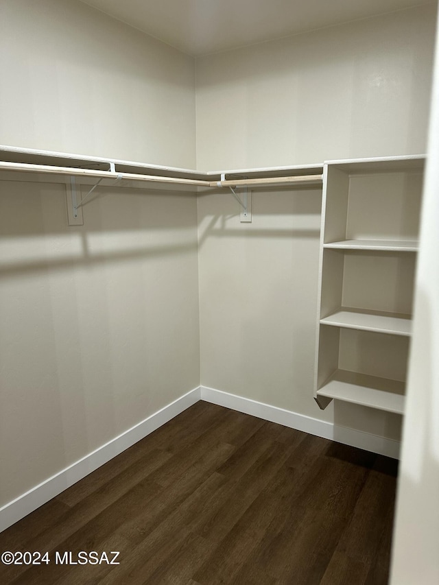 spacious closet featuring dark hardwood / wood-style flooring