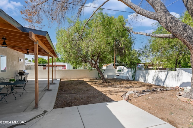 view of yard featuring a patio area