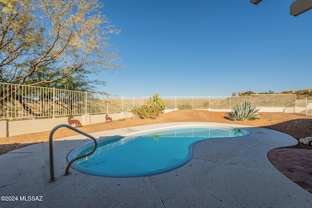 view of pool with a patio