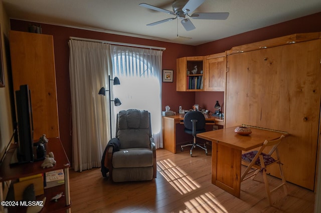 office featuring light hardwood / wood-style flooring and ceiling fan