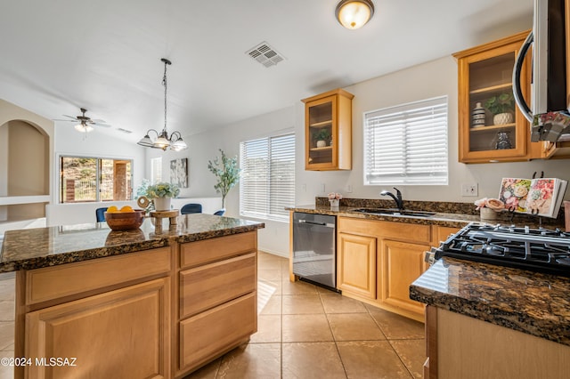 kitchen with appliances with stainless steel finishes, ceiling fan with notable chandelier, plenty of natural light, and sink