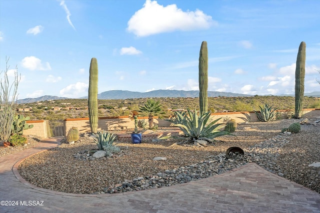 view of mountain feature