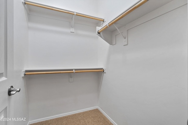 spacious closet with carpet