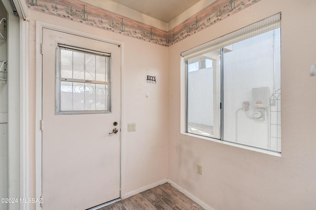 doorway featuring wood-type flooring