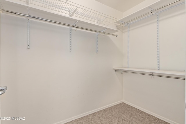 walk in closet with carpet