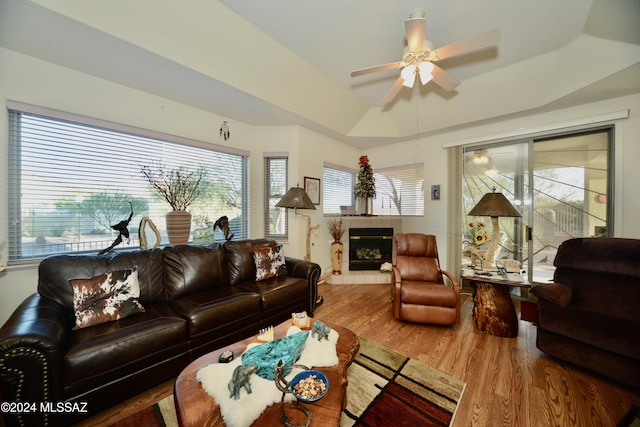 living room with a fireplace, hardwood / wood-style flooring, ceiling fan, and a tray ceiling