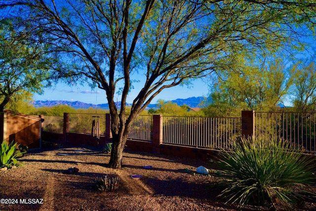 view of yard with a mountain view