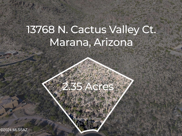 13768 N Cactus Valley Ct Unit 238, Marana AZ, 85658 land for sale