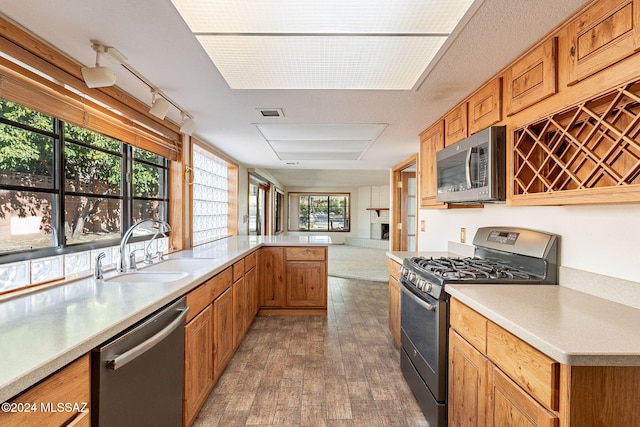 kitchen featuring kitchen peninsula, dark wood-type flooring, sink, and stainless steel appliances