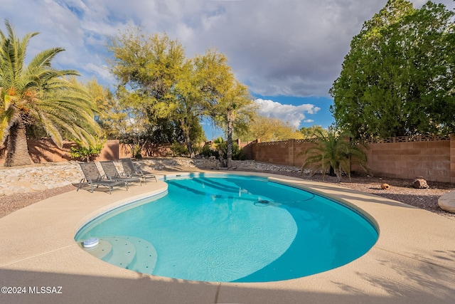 view of pool featuring a patio area