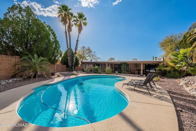 view of pool featuring a patio