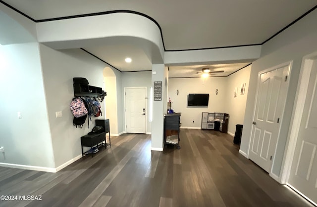 living room with ceiling fan and dark wood-type flooring