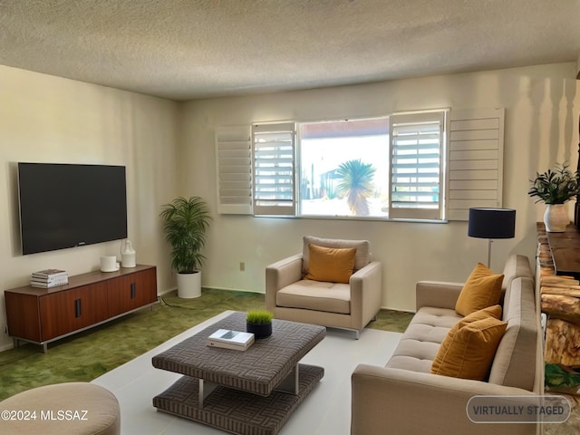 living room with a textured ceiling