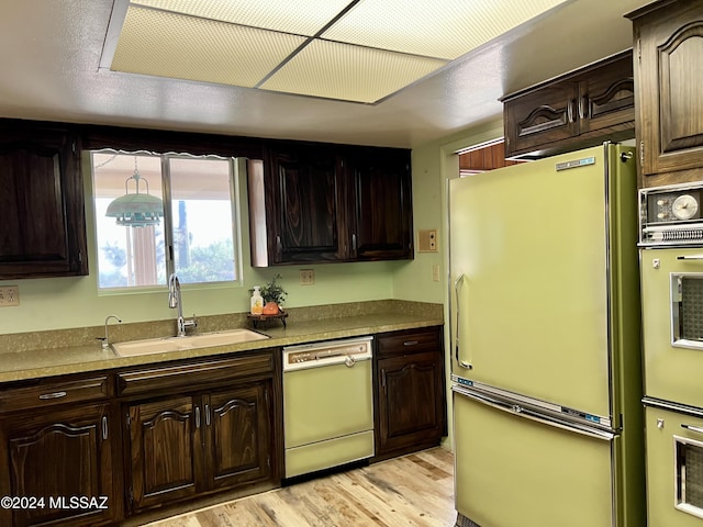 kitchen featuring sink, dishwasher, light hardwood / wood-style flooring, white refrigerator, and oven