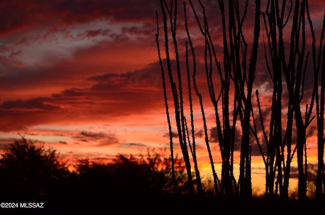 view of nature at dusk