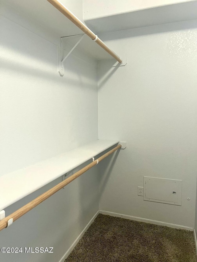 spacious closet featuring dark colored carpet