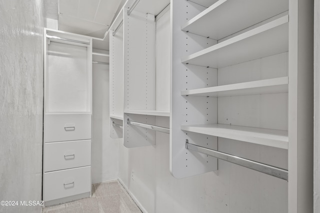 spacious closet with light colored carpet