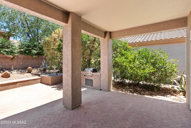 view of patio / terrace with grilling area and area for grilling