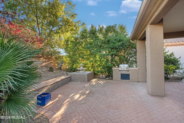 view of patio featuring exterior kitchen and grilling area