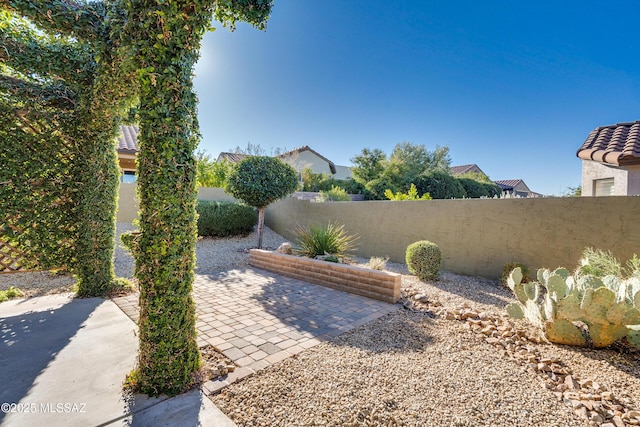 view of yard featuring a patio