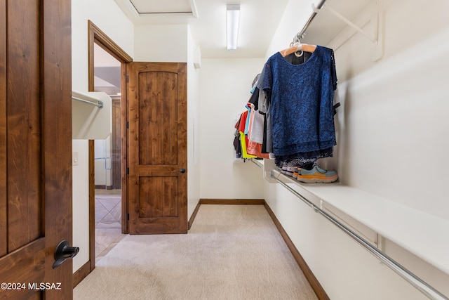 36513 S Cactus Ln, Tucson, AZ 85739 - spacious closet featuring light colored carpet