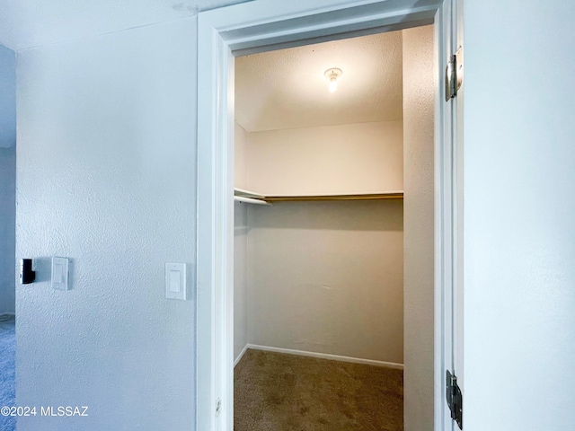 walk in closet with carpet flooring