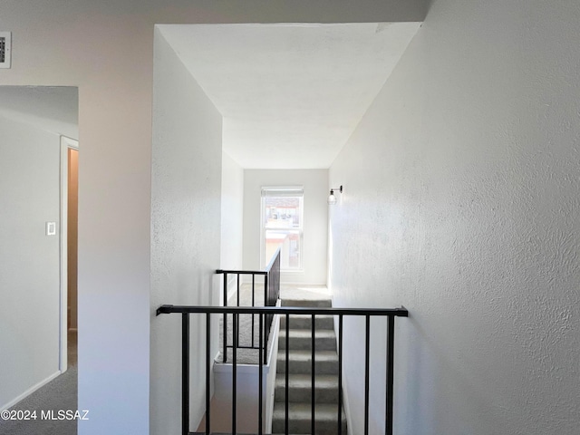 staircase featuring carpet flooring