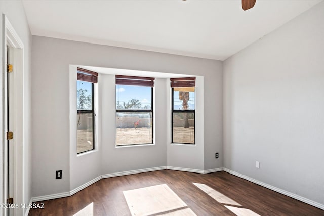 spare room featuring baseboards, a wealth of natural light, and wood finished floors