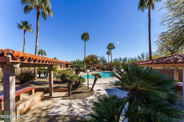 view of swimming pool featuring a patio area