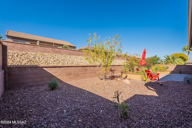 view of yard with a patio area