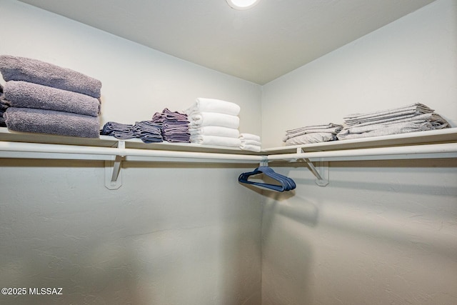 spacious closet with lofted ceiling