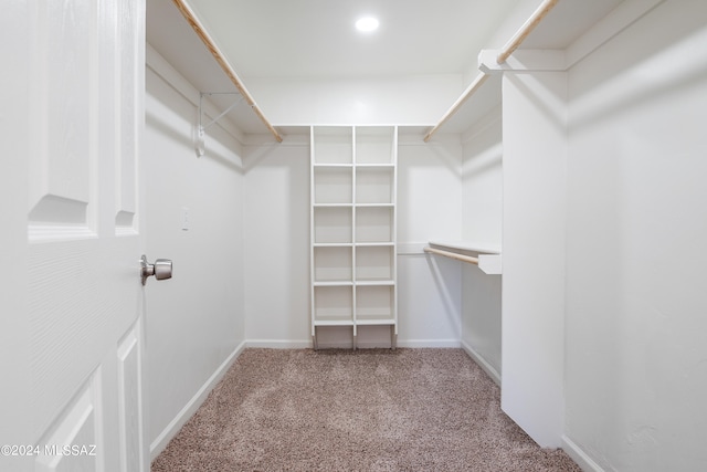 spacious closet with carpet