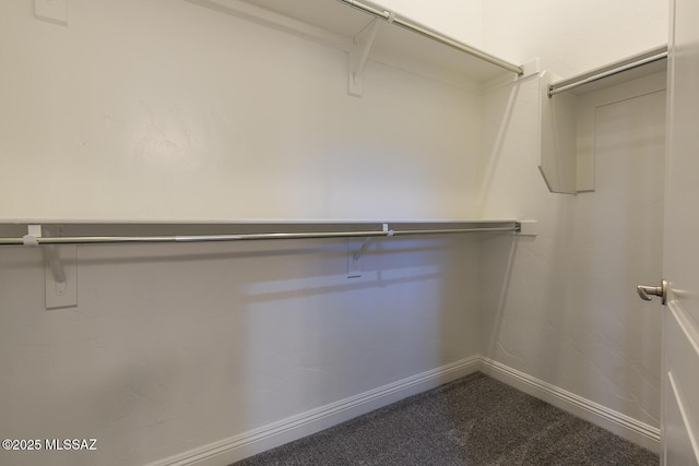 walk in closet featuring carpet floors