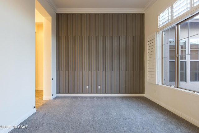 spare room featuring carpet flooring and crown molding