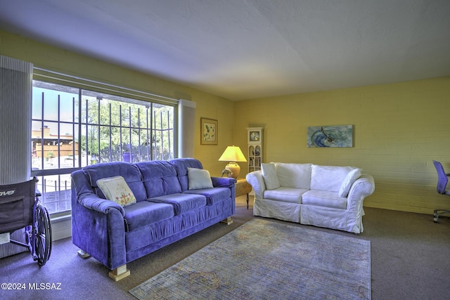 living room with carpet