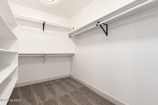 walk in closet with carpet flooring