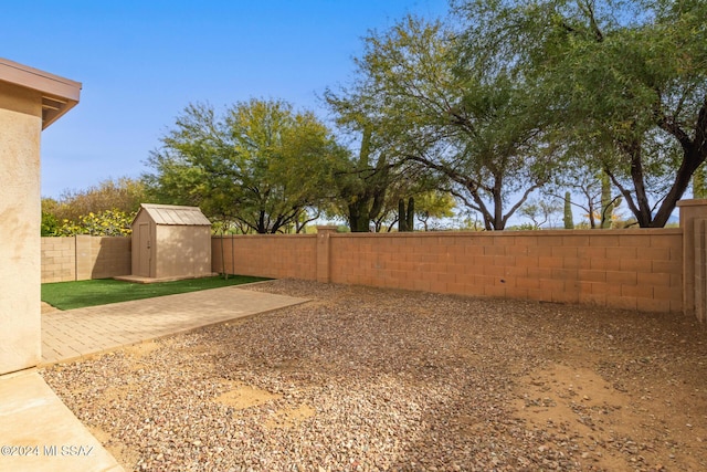 view of yard featuring a patio area and a shed