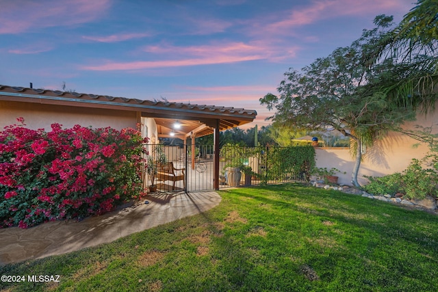 view of yard at dusk