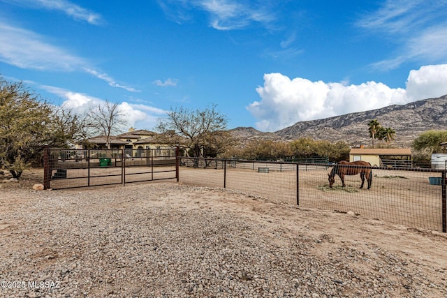 view of yard featuring a mountain view and a rural view