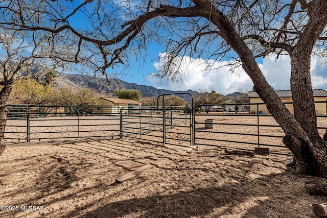 view of yard featuring a mountain view