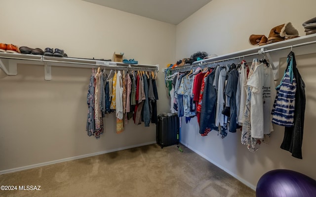 walk in closet with radiator heating unit and carpet floors